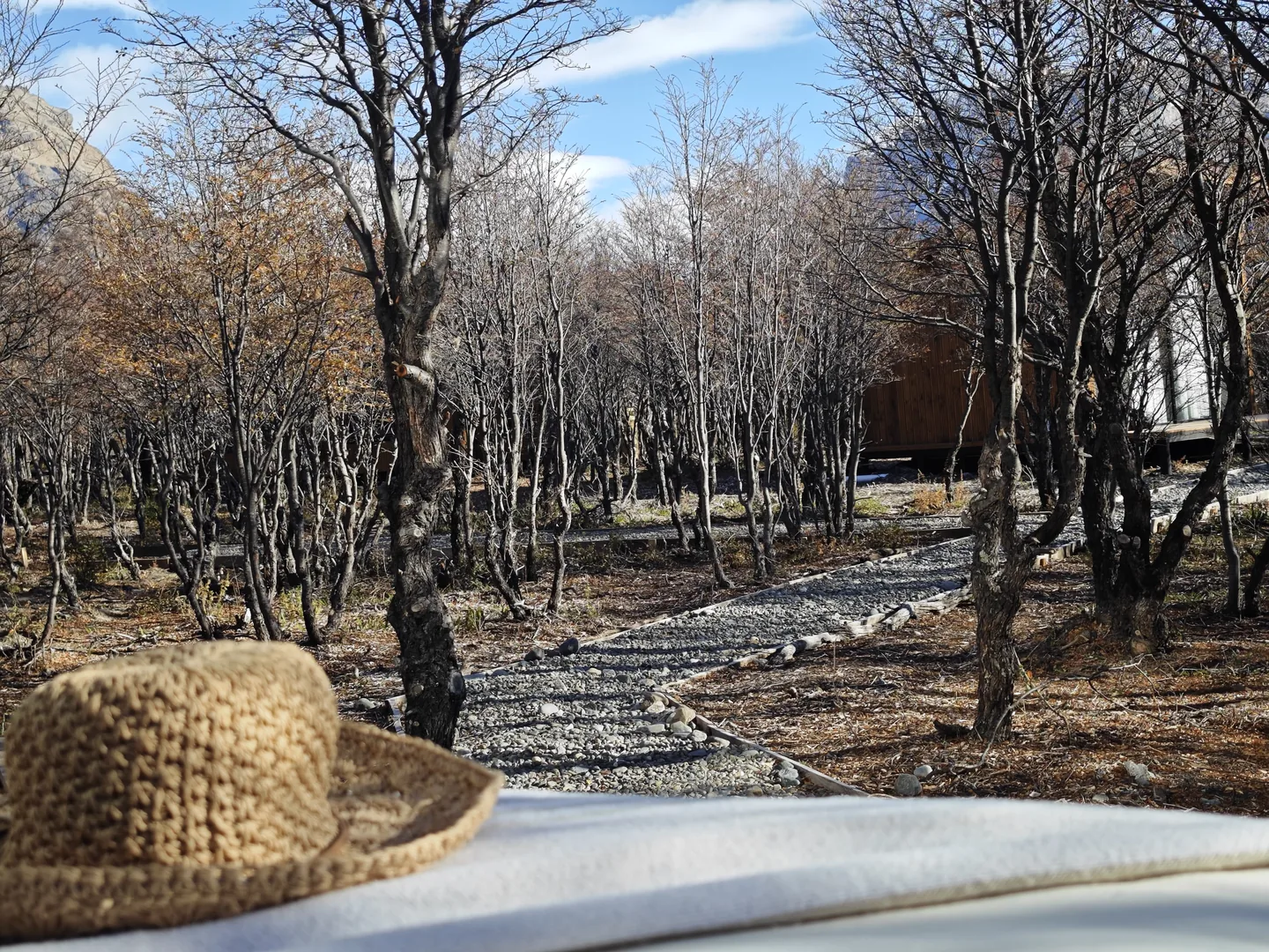 Vista panorámica de El Chaltén, Patagonia