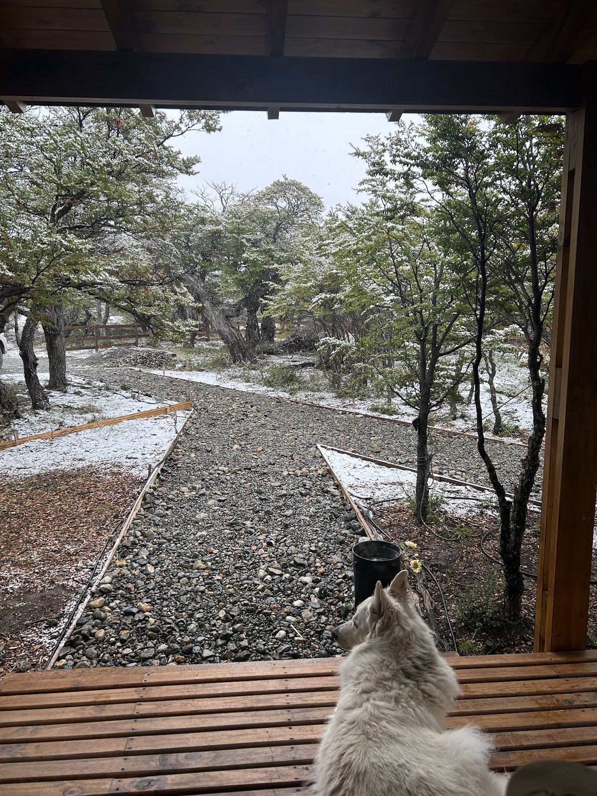 Foto de Huésped de Google en Viento de Glaciares