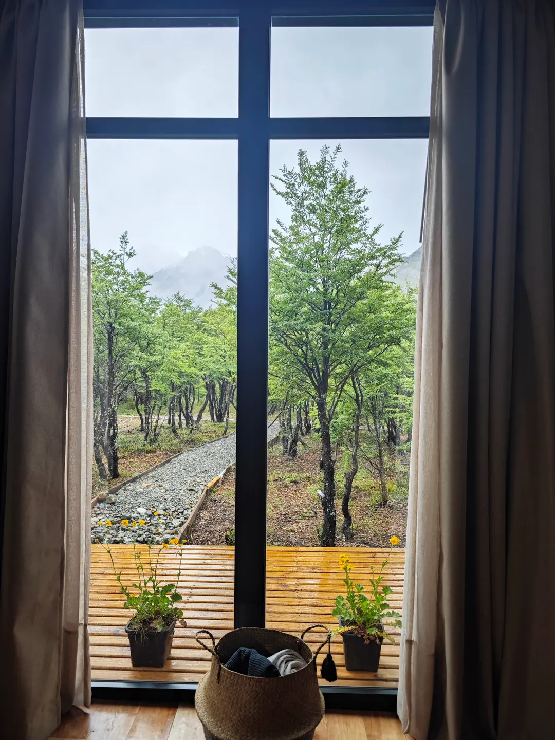Desde adentro de Huemul, el ventanal da al deck, al bosque y al sendero.